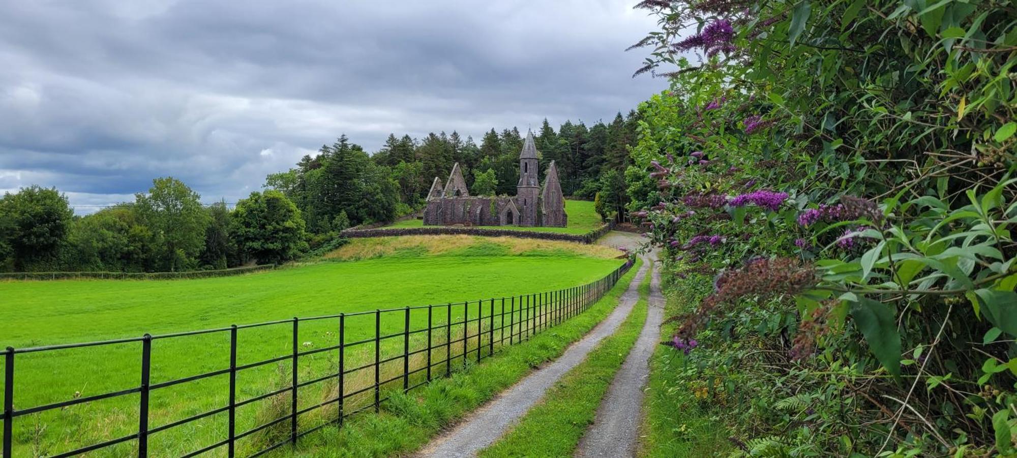 Reed Warbler Cottage Ballinrobe Exterior photo